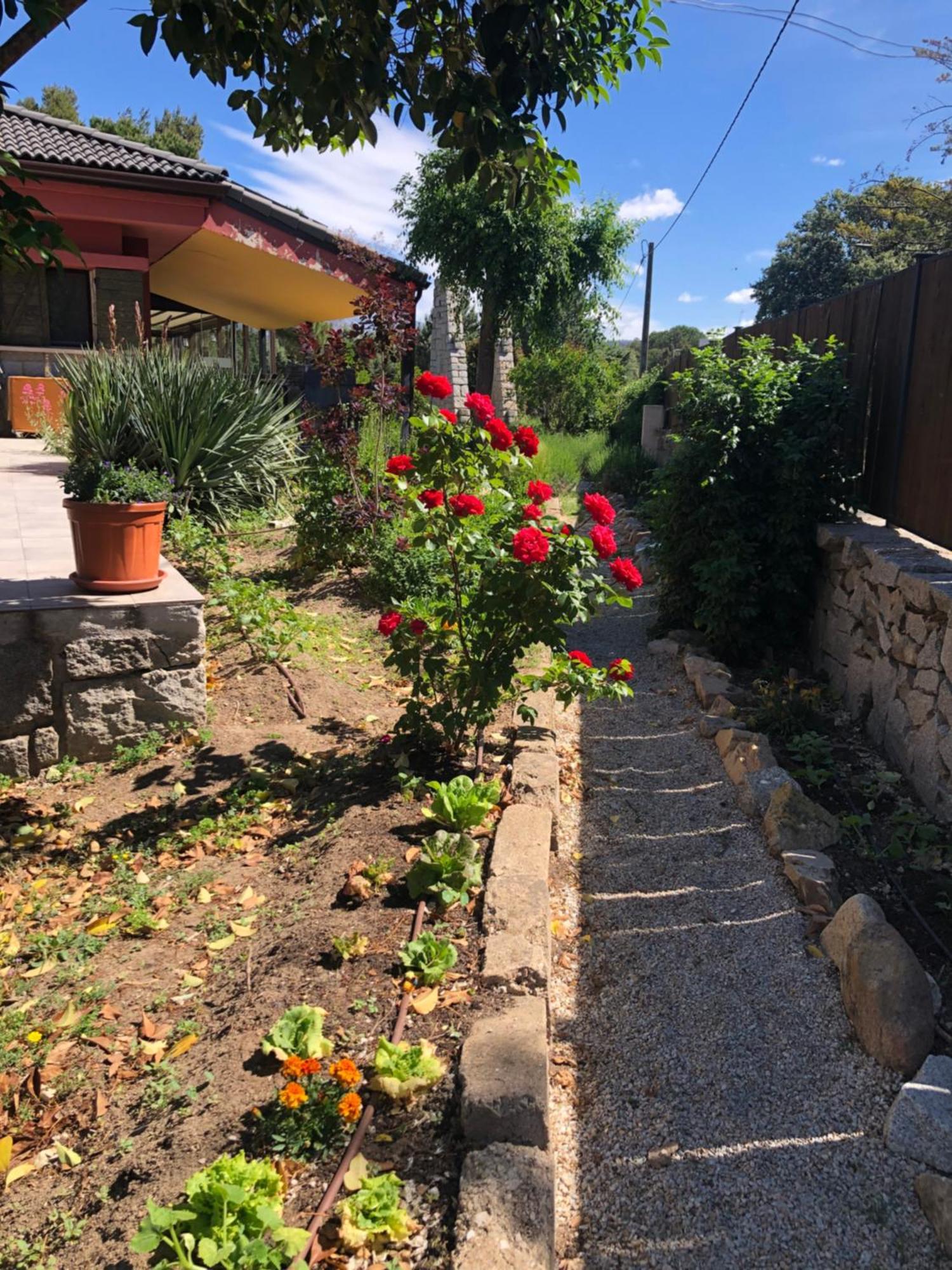 Finca Lagloria Guadarrama Kültér fotó
